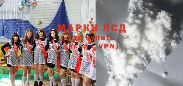 прущие грибы Аркадак