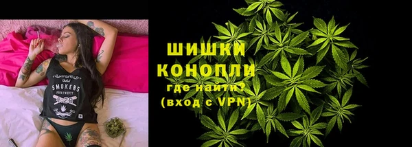 ПСИЛОЦИБИНОВЫЕ ГРИБЫ Арсеньев