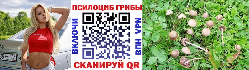 блэк спрут как зайти  Тутаев  Галлюциногенные грибы мухоморы 